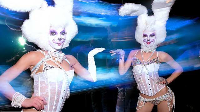 nofactgroup enchanted